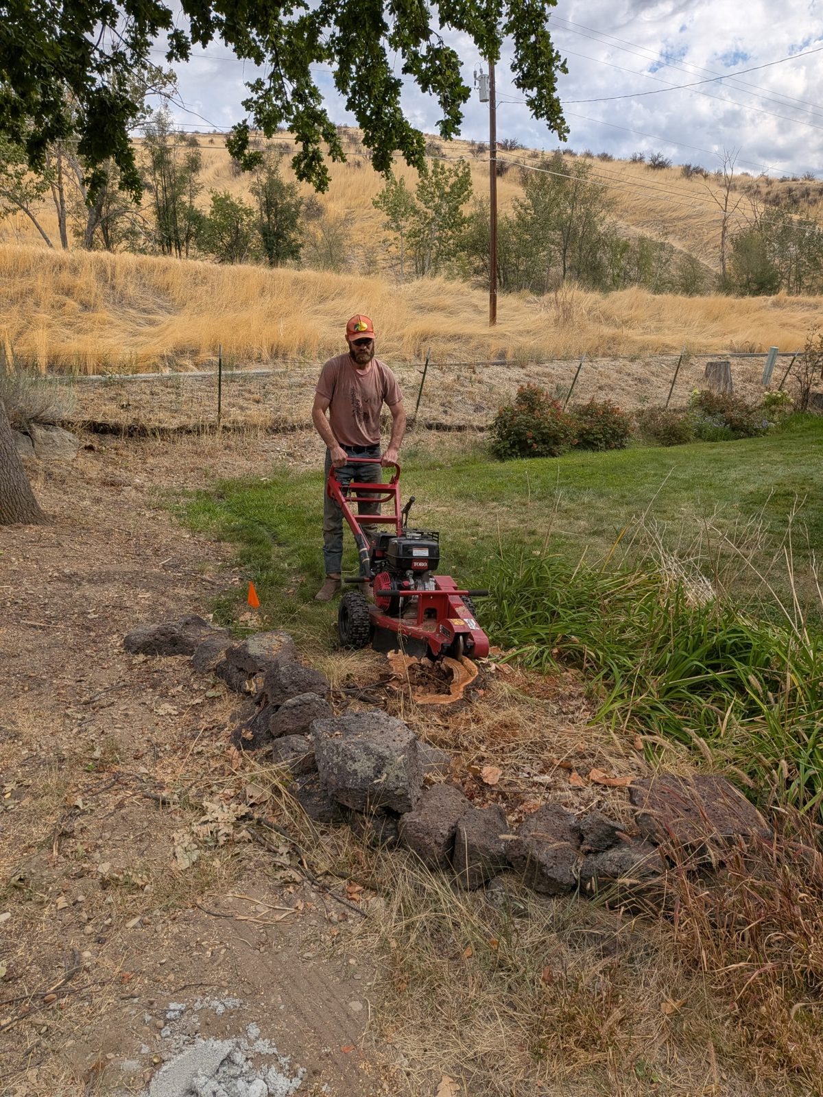 An Idaho TreeSmiths crew member grinding a stump flush with the ground at the edge of a lawn